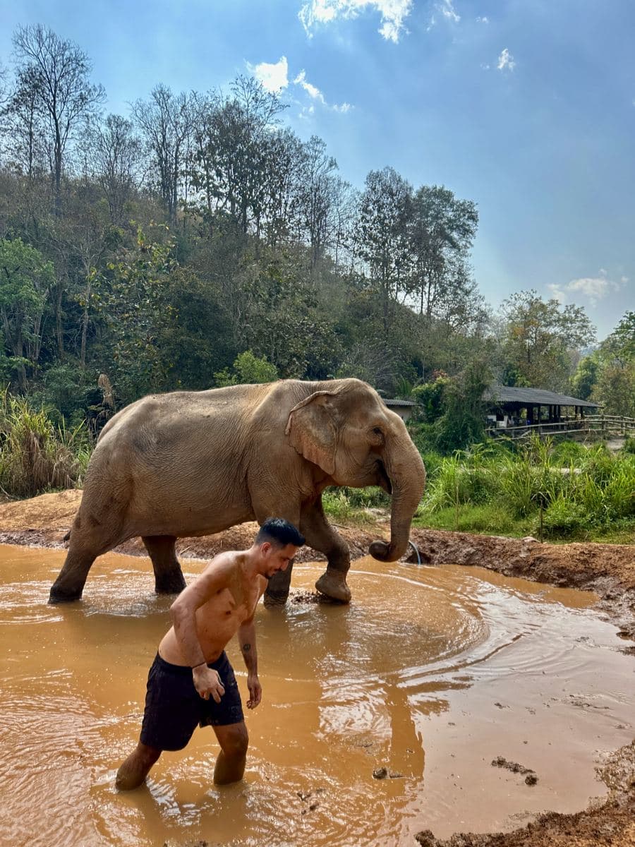 Arni in the mud bath with a rescued elephant