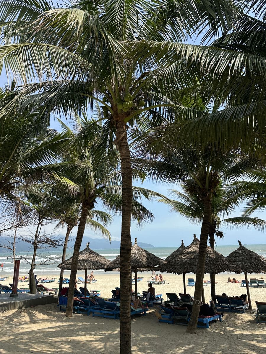 Palms and parasols on My Khe Beach
